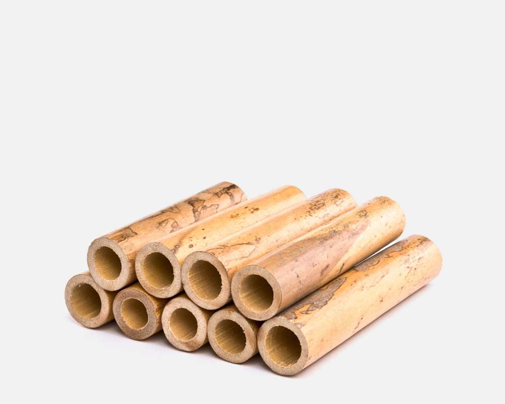 Cane