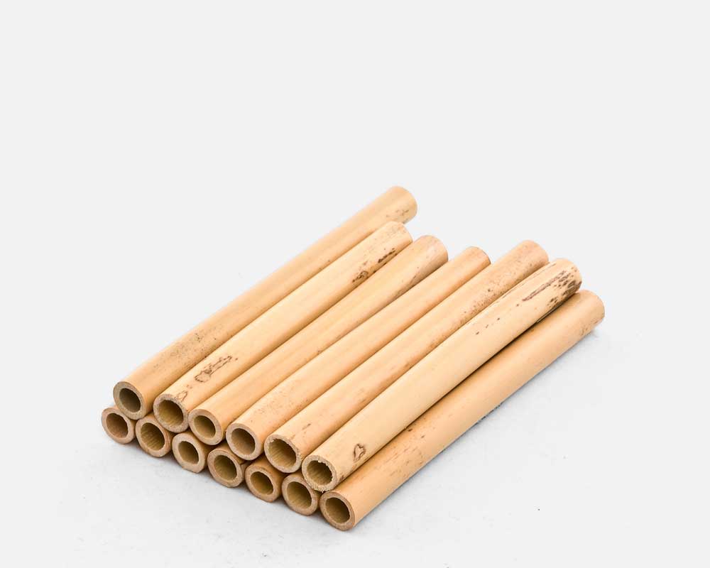 Cane