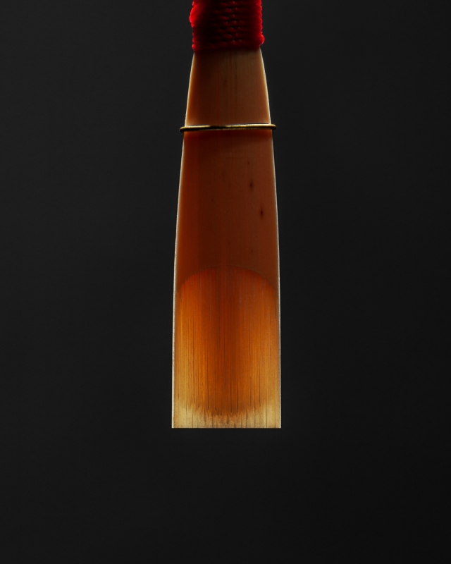 Template #E21 