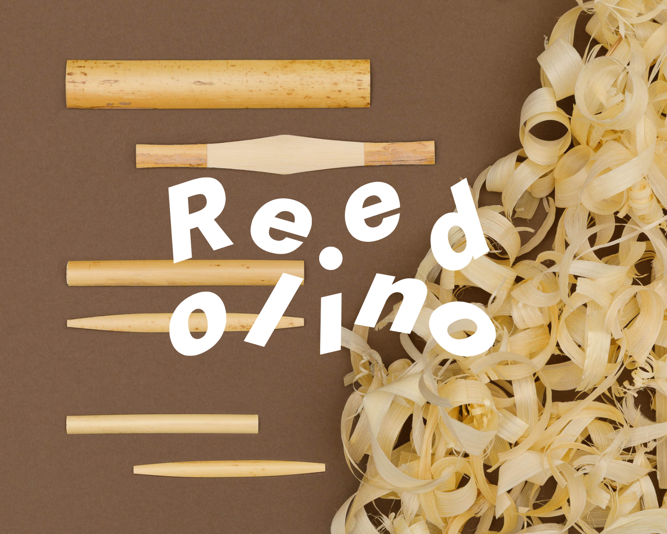Reedolino – the place to learn